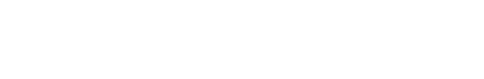 Tech Supportal Logo